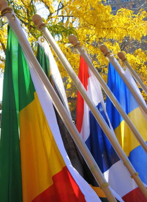 Flags and Fall Leaves