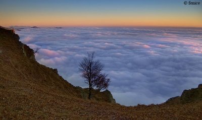 Monte Ramaceto, Val DAveto, Liguria.