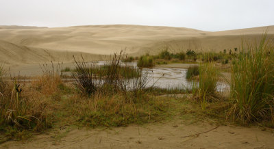 90-mile beach giant dunes OZ9W4181