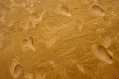 Dune sand OZ9W4234