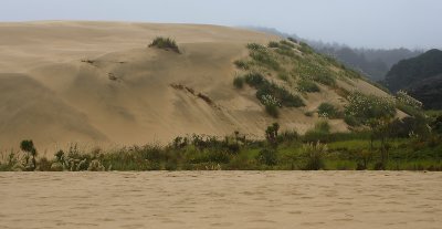 90-mile beach giant dunes OZ9W4193