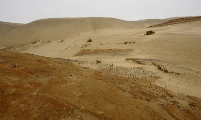 90-mile beach giant dunes OZ9W4204