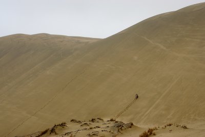 90-mile beach giant dunes OZ9W4213