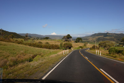 Kauri coast scenery OZ9W4369