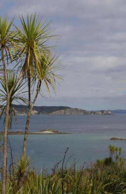Tiritiri Matangi Island view OZ9W5788