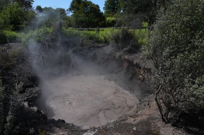 Rotorua City bubbling mud pools OZ9W6075
