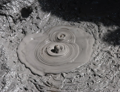 Rotorua City bubbling mud pools OZ9W6138