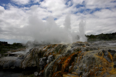 Rotorua City Te Puia geysers OZ9W6210