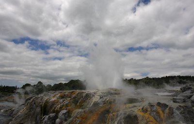 Rotorua City Te Puia geysers OZ9W6227