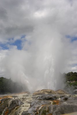 Rotorua City Te Puia geysers OZ9W6238