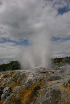 Rotorua City Te Puia geysers OZ9W6239