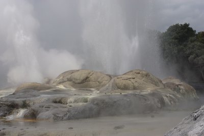 Rotorua City Te Puia geysers OZ9W6264