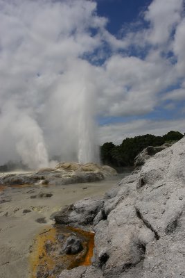 Rotorua City Te Puia geysers OZ9W6270