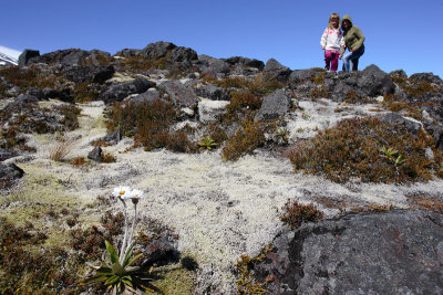 Tongariro National Park OZ9W6774