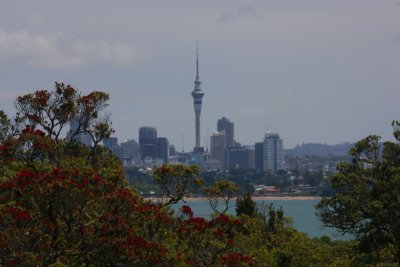 Rangitoto Island view Auckland skyline OZ9W3745