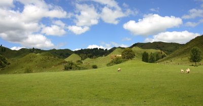 OWhanganui Region scenery Z9W6885