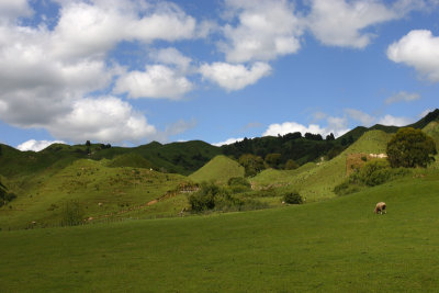 Whanganui Region scenery OZ9W6886