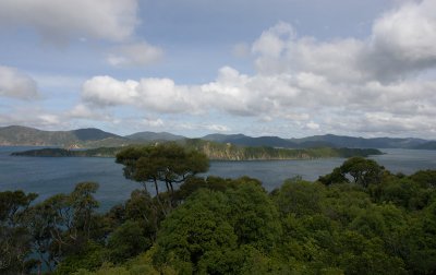 Marlborough Sounds Motuara Island scenic view OZ9W7653