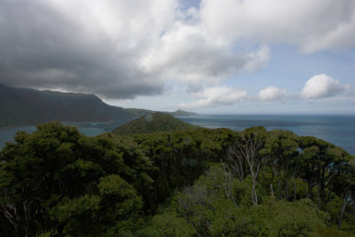 Marlborough Sounds Motuara Island scenic view OZ9W7666