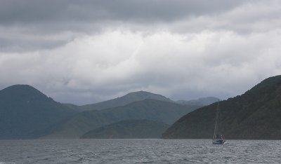 Marlborough Sounds scenic view OZ9W7795