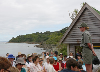 Ranger on Tiritiri Matangi Island OZ9W5768