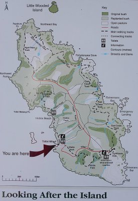 Tiritiri Matangi Island map OZ9W5991
