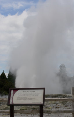 Rotorua City Te Puia geysers OZ9W6294