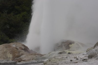 Rotorua City Te Puia geysers OZ9W6299