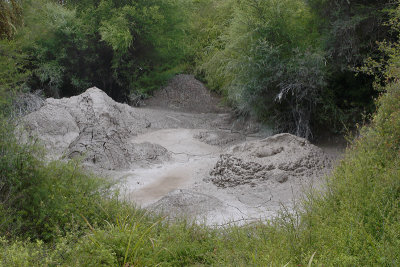 Rotorua City Te Puia mud-pools OZ9W6382