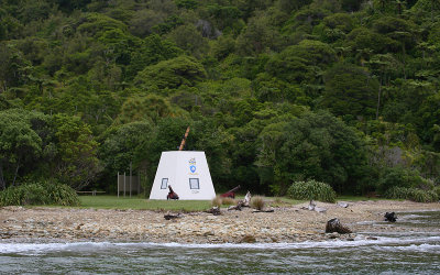 Ship Cove Marlborough Sounds OZ9W7711