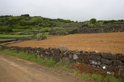 Fields near Lajes Pico OZ9W9190