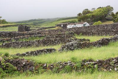 Fields near Lajes Pico OZ9W9213