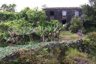 House and garden Lajes Pico OZ9W9158