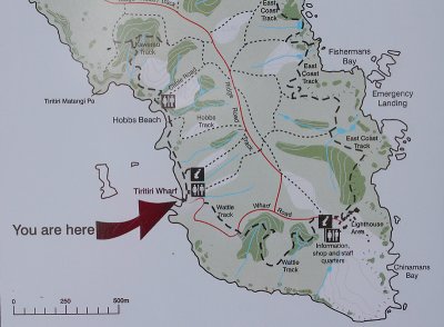 Tiritiri Matangi map detail OZ9W5990