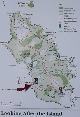 Tiritiri Matangi map OZ9W5991