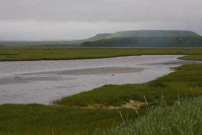 river near Nikolskoye settlement OZ9W2096