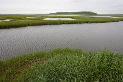 wetland near Nikolskoye settlement OZ9W2124
