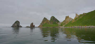 Cape Metveya OZ9W3266