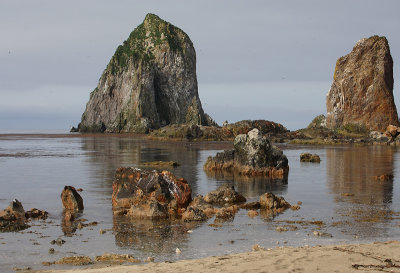Cape Metveya OZ9W3272