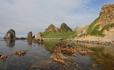 Cape Metveya OZ9W3274