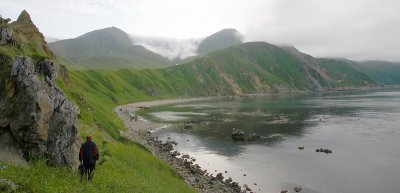 Cape Metveya OZ9W3294
