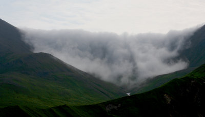Cape Metveya OZ9W3302