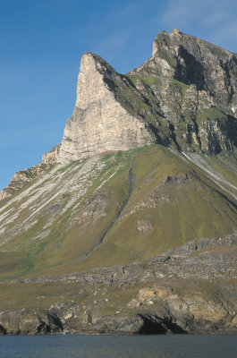 Svalbard Seabird cliff 3