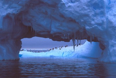 Iceberg with Adelie Penguins