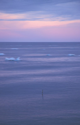Svalbard sea with Fulmar