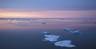 East Greenland pack-ice low sun 2