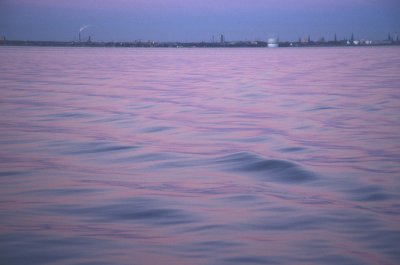 Saltholm sea