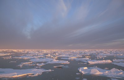 Pack ice East Greenland 1