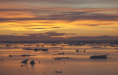 Pack ice sunset East Greenland 4