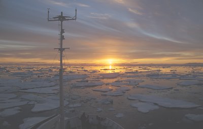 Pack ice sunset East Greenland 8